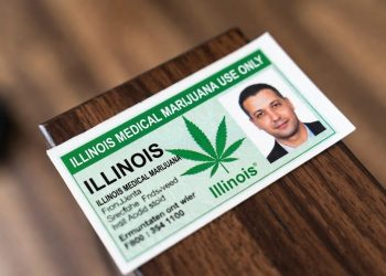 7 Best Online Medical Marijuana Card Renewal Services for Illinois Patients in 2026