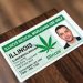 7 Best Online Medical Marijuana Card Renewal Services for Illinois Patients in 2026