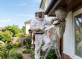 That Buzzing Sound in Your Yard Could Mean Trouble