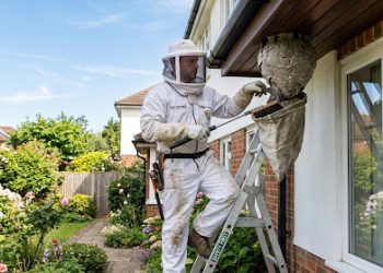 That Buzzing Sound in Your Yard Could Mean Trouble